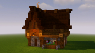 Warm and Cozy House
